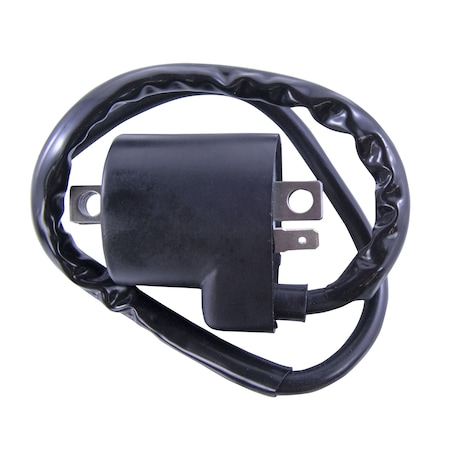 Rmstator External Ignition Coil for Polaris, Honda, Kawasaki, Yamaha, Suzuki ATV Motorcycle Scooter 110-800 RM06035